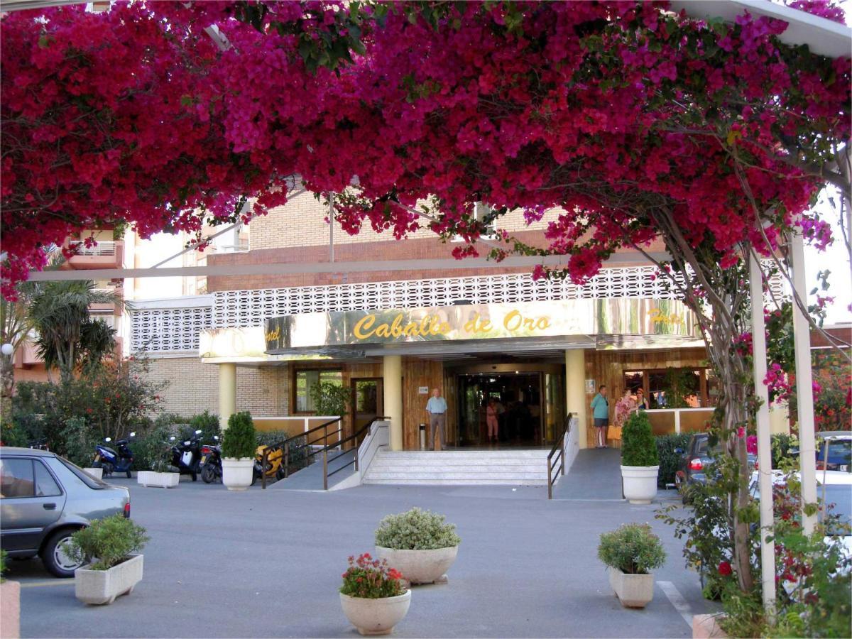Hotel Caballo De Oro Μπένιντορμ Εξωτερικό φωτογραφία